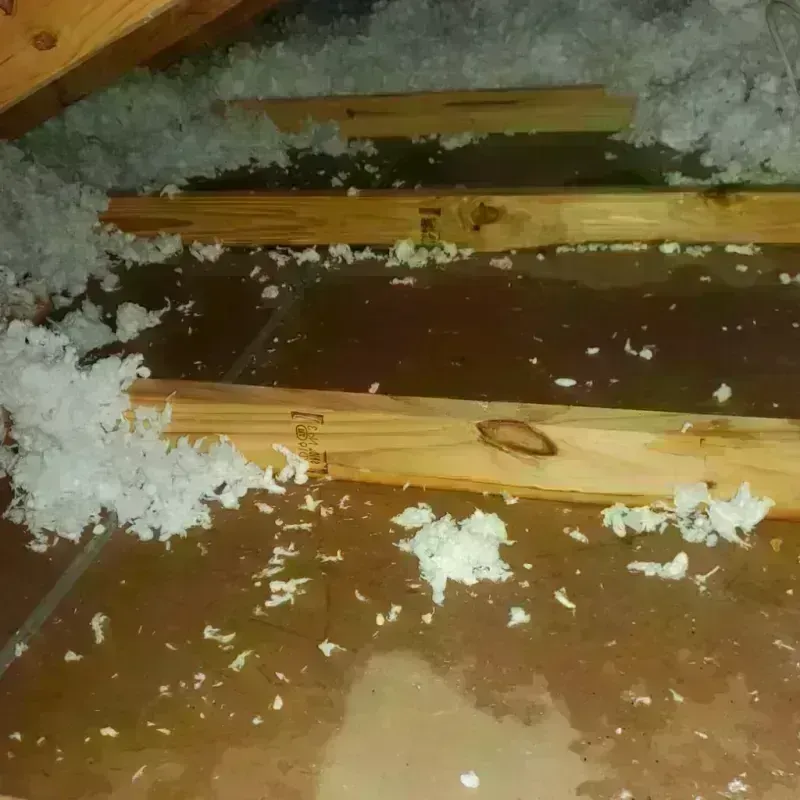 Attic Water Damage in Blakely, GA