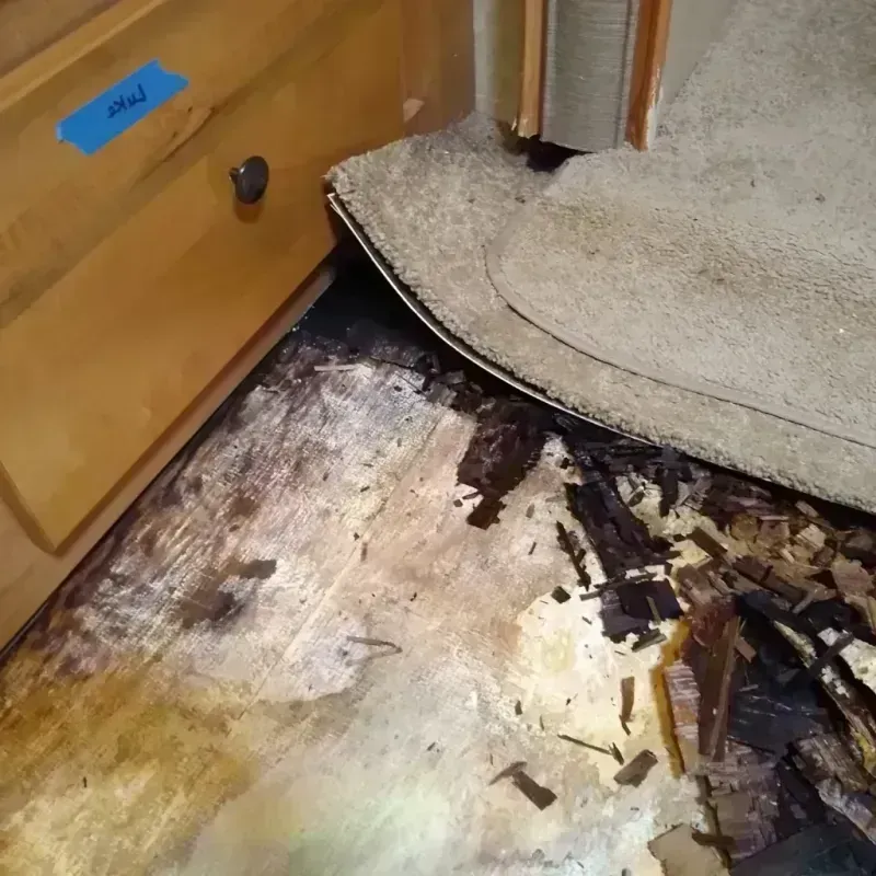 Best Wood Floor Water Damage Service in Blakely, GA